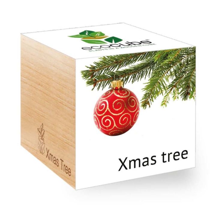 Albero di natale (inglese) - Ecocube piante in cubi di legno